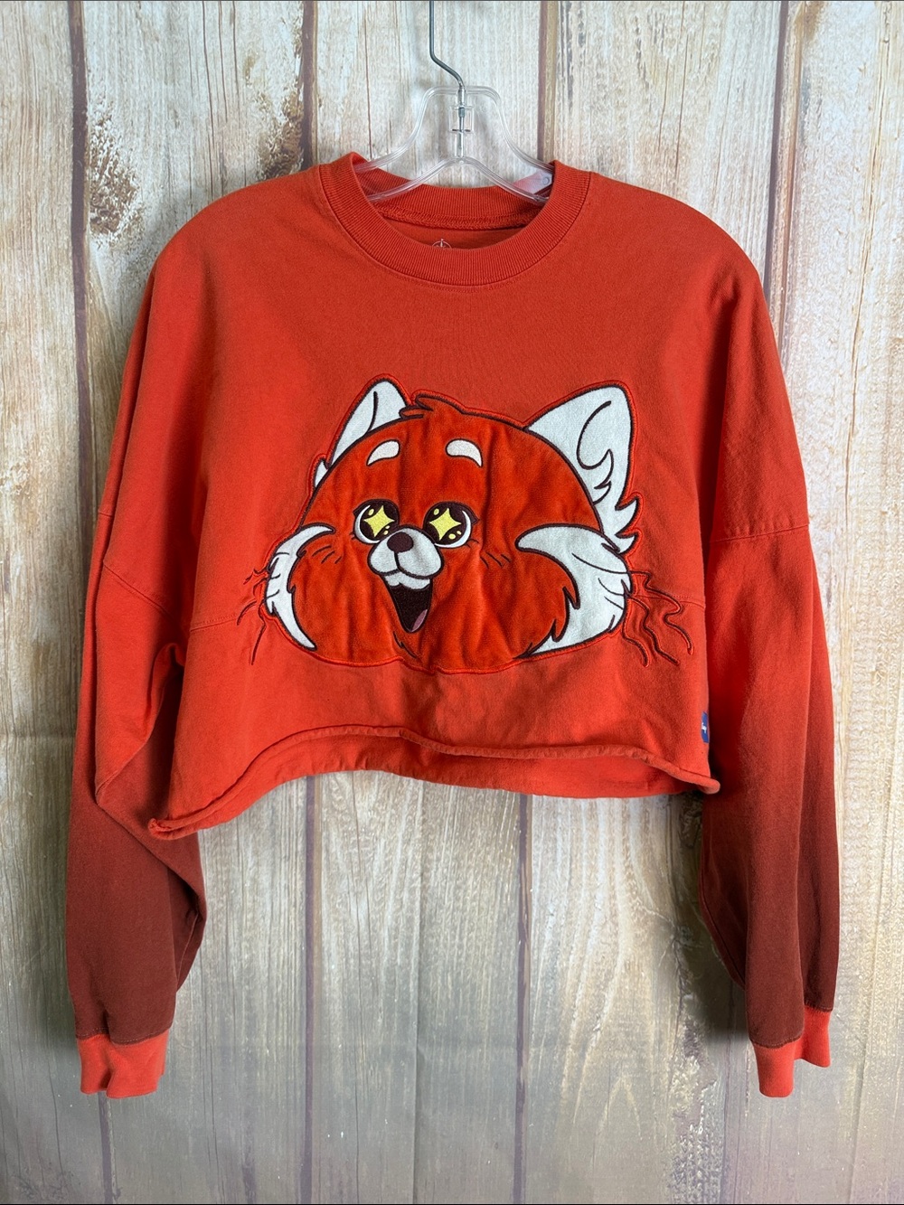 Disney Spirit Jersey Red Fox Freakin Adorable Crop Tee Size Small